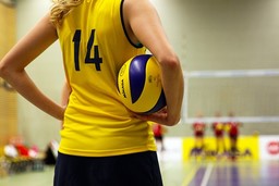 volleyball-520093_640.jpg - {volleyball-520093_640.jpg} - [24874]