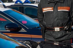 carabinieri a piedi (2).jpg - {carabinieri a piedi (2).jpg} - [25610]