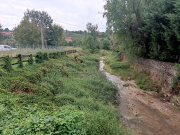 torrente_riddone_09_2024_ph_vsaglia-4.jpg - {torrente_riddone_09_2024_ph_vsaglia-4.jpg} - [25978]