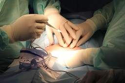 hospital-721239_1280.jpg - {hospital-721239_1280.jpg} - [26050]