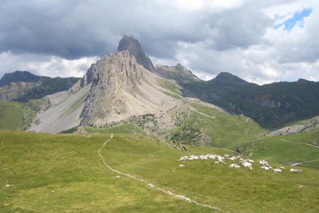 LaureaMontagna.jpg - {LaureaMontagna.jpg} - [26394]