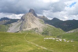 LaureaMontagna.jpg - {LaureaMontagna.jpg} - [26394]