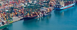 porto di psa.jpg - {porto di psa.jpg} - [2642]