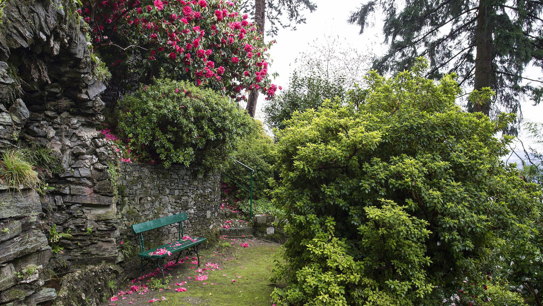 villa_anelli.jpeg - {villa_anelli.jpeg} - [26594]