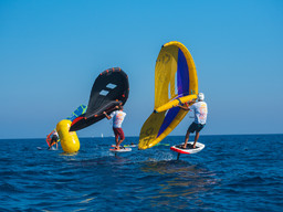 WindFestival_1.jpeg - {WindFestival_1.jpeg} - [27394]
