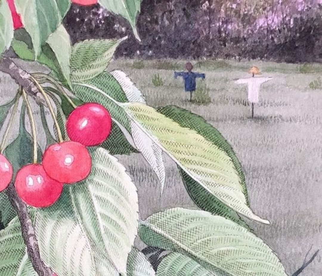 Corto e Fieno.jpg - {Corto e Fieno.jpg} - [27514]