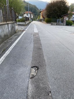 fibra 4.jpeg - {fibra 4.jpeg} - [27949]
