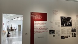2024-09-27_FORMA_3.jpg - {2024-09-27_FORMA_3.jpg} - [28397]