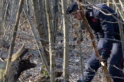 Foto di repertorio.jpg - {Foto di repertorio.jpg} - [28885]