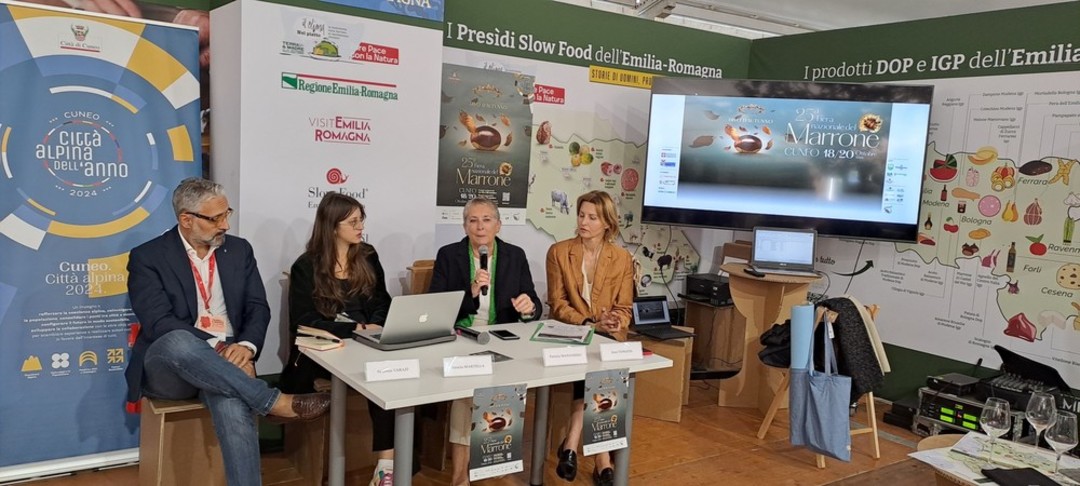 Conferenza stampa.jpg - {Conferenza stampa.jpg} - [28917]