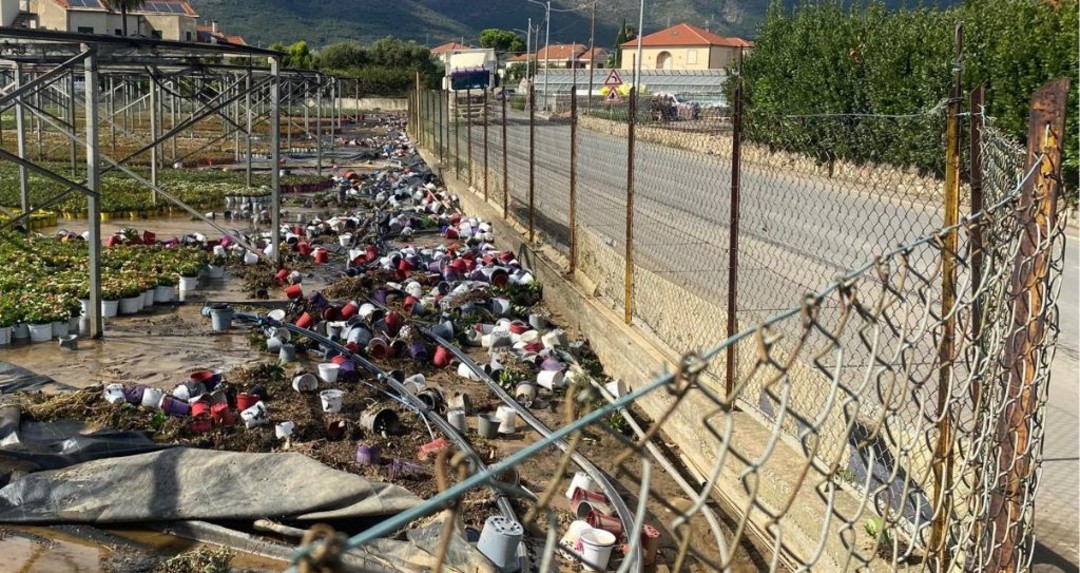 alluvione piana albenga.jpg - {alluvione piana albenga.jpg} - [28957]