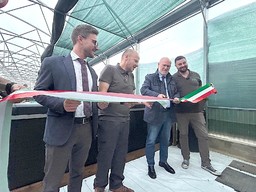 Immagine Langaponica inaugurazione 24092024 (2898228).jpg - {Immagine Langaponica inaugurazione 24092024 (2898228).jpg} - [29077]
