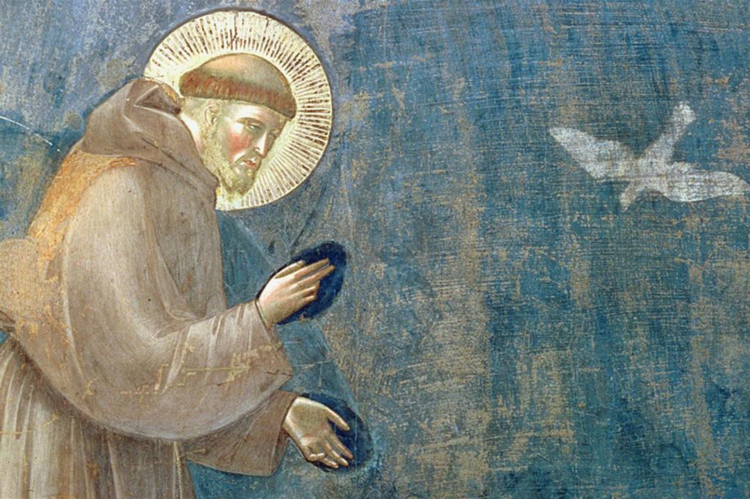 San Francesco.jpg - {San Francesco.jpg} - [29662]