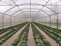 serra agricola.jpg - {serra agricola.jpg} - [29894]