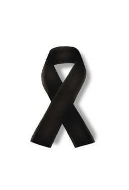 ribbon-5172088_1280.png - {ribbon-5172088_1280.png} - [30318]