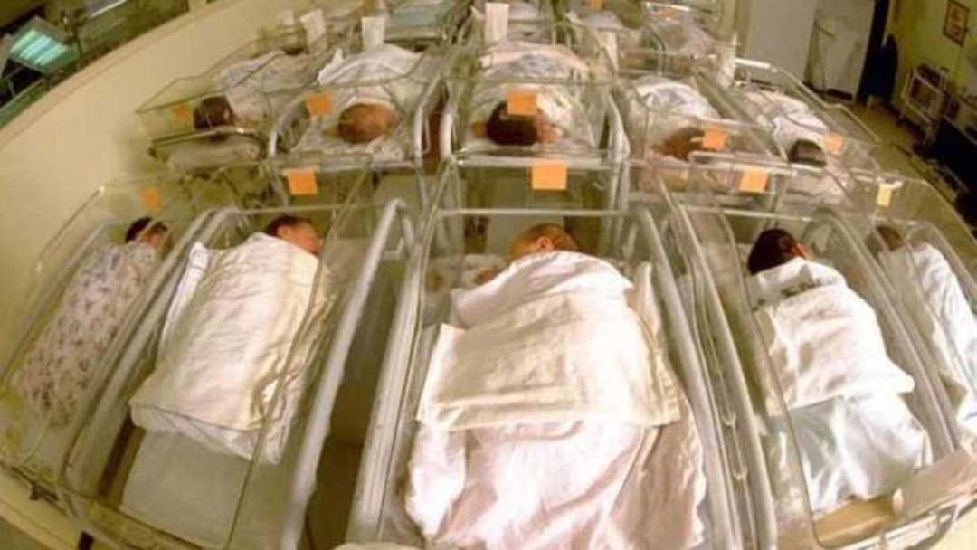 cullaospedale.jpg - {cullaospedale.jpg} - [30703]