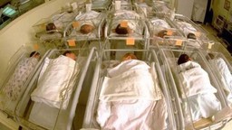 cullaospedale.jpg - {cullaospedale.jpg} - [30703]