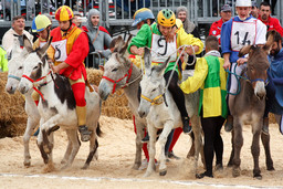 Palio-degli-Asini-1.jpg - {Palio-degli-Asini-1.jpg} - [31080]