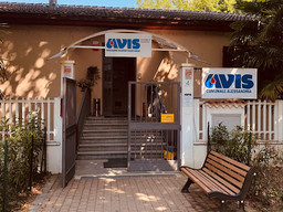 AvisAlessandria.jpg - {AvisAlessandria.jpg} - [31120]