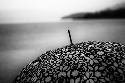 rain-4865641_1280.jpg - {rain-4865641_1280.jpg} - [31224]