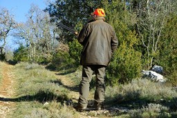 hunting-583086_640.jpg - {hunting-583086_640.jpg} - [31608]