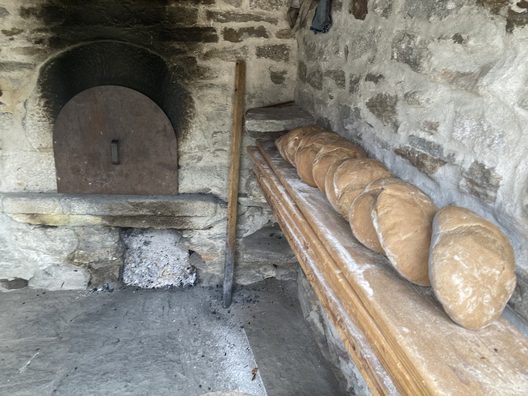 Pane Nero.jpeg - {Pane Nero.jpeg} - [31904]
