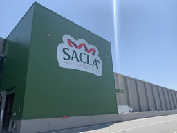 SaclaAsti.jpg - {SaclaAsti.jpg} - [32128]