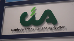 Cia.png - {Cia.png} - [32200]