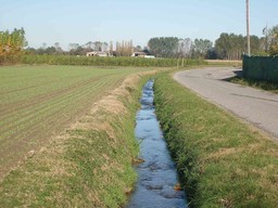 Bialere.jpg - {Bialere.jpg} - [32256]