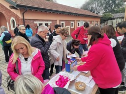 pink run for stefi0-min.jpg - {pink run for stefi0-min.jpg} - [32304]