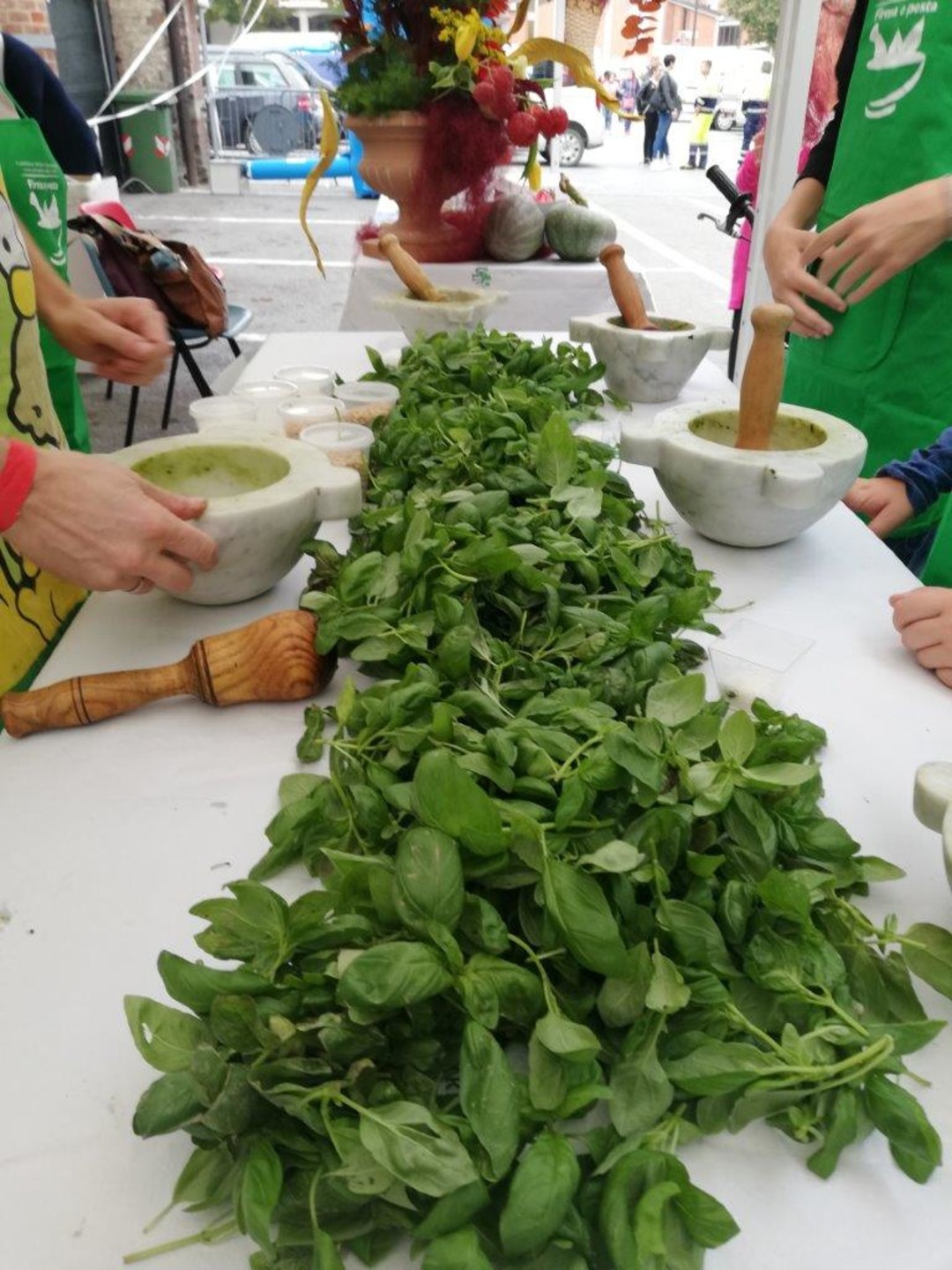laboratorio pesto solo basilico.jpg - {laboratorio pesto solo basilico.jpg} - [32344]