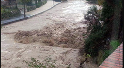alluvione, maltempo, nubifragio.png - {alluvione, maltempo, nubifragio.png} - [3267]