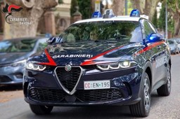 carabinieri.jpeg - {carabinieri.jpeg} - [32936]