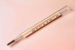 thermometer-869392_640.jpg - {thermometer-869392_640.jpg} - [33024]