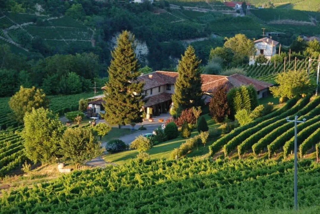 Fabè Barbera d'ASTI DOCG 2022.jpg - {Fabè Barbera d'ASTI DOCG 2022.jpg} - [33400]