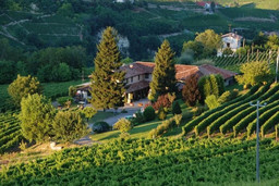 Fabè Barbera d'ASTI DOCG 2022.jpg - {Fabè Barbera d'ASTI DOCG 2022.jpg} - [33400]