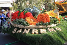 Fiori-a-SANREMO-2021-novità-e-tradizione-1.jpg - {Fiori-a-SANREMO-2021-novità-e-tradizione-1.jpg} - [33608]