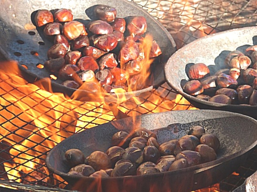 Immagine Castagne_NEW.jpg - {Immagine Castagne_NEW.jpg} - [34524]