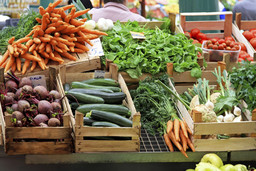 Alimentazionekm0.jpg - {Alimentazionekm0.jpg} - [34652]