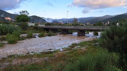 77deb268-f7c9-4f37-ac78-42c804f363f6.jpg - {77deb268-f7c9-4f37-ac78-42c804f363f6.jpg} - [34845]