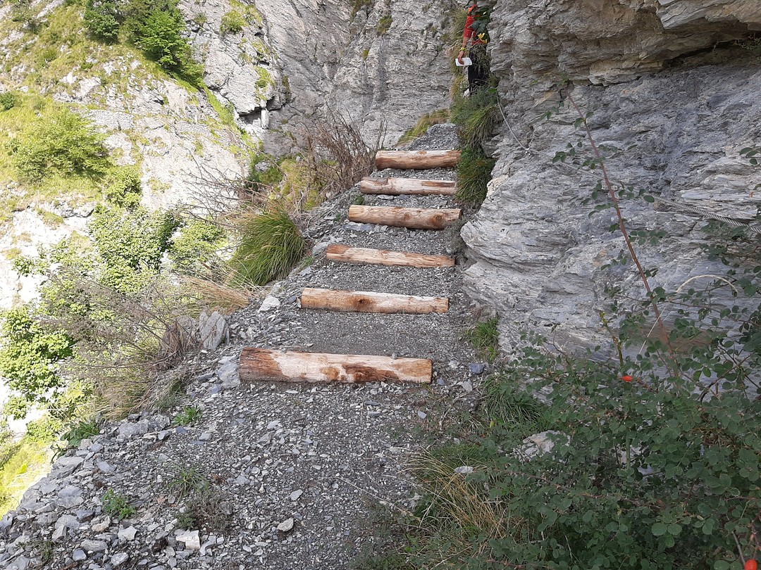 sentiero alpini 9.jpg - {sentiero alpini 9.jpg} - [35069]