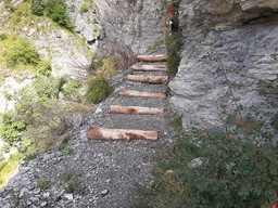 sentiero alpini 9.jpg - {sentiero alpini 9.jpg} - [35069]