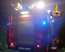 vigili-del-fuoco.jpg - {vigili-del-fuoco.jpg} - [35848]