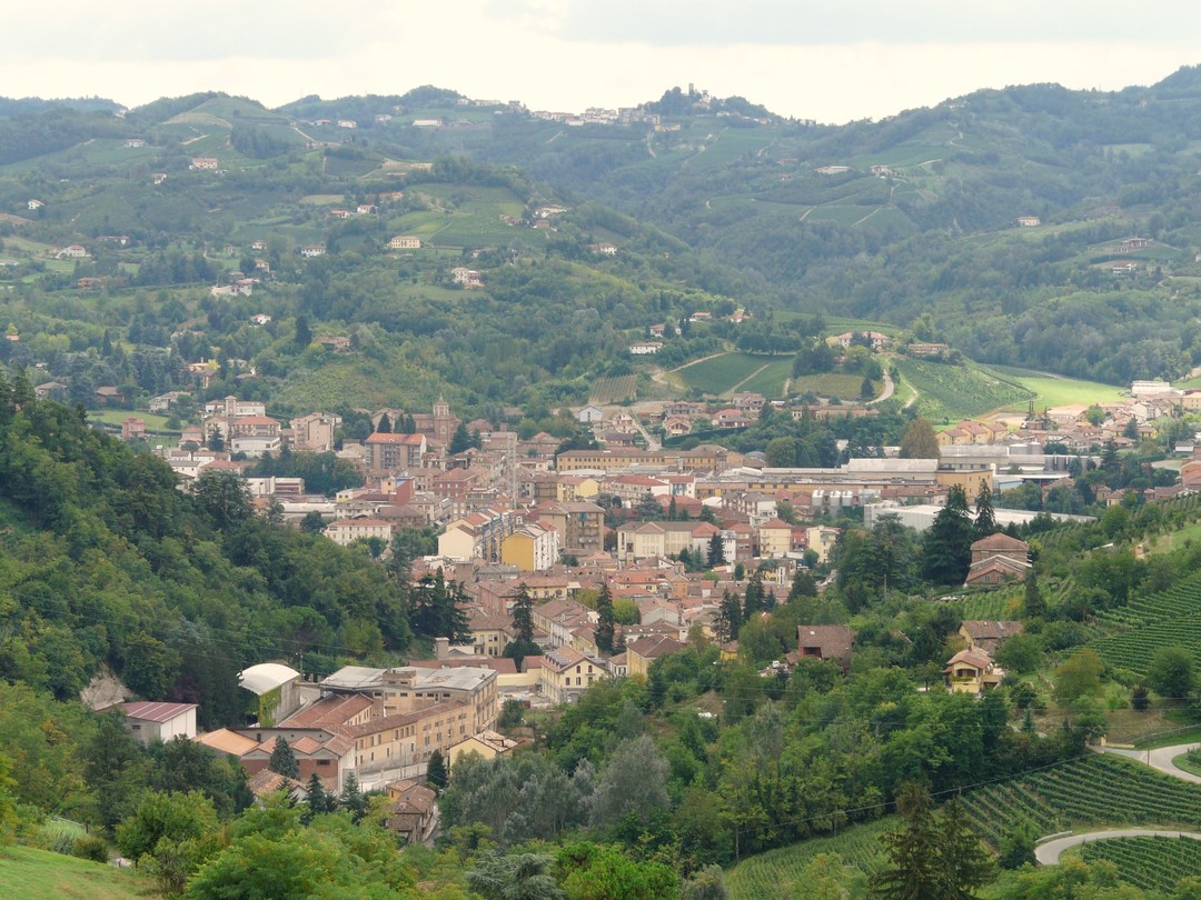Canelli.jpg - {Canelli.jpg} - [35912]