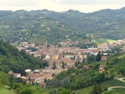 Canelli.jpg - {Canelli.jpg} - [35912]
