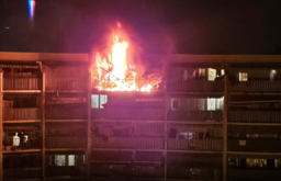 incendio nizza.png - {incendio nizza.png} - [3652]