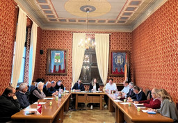 RiunioneConsiglioVillafraancaAtiCasaRiposo.jpeg - {RiunioneConsiglioVillafraancaAtiCasaRiposo.jpeg} - [37001]