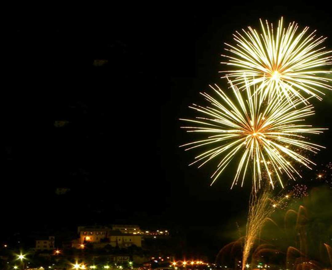 fuochi d'artificio.jpg - {fuochi d'artificio.jpg} - [3716]