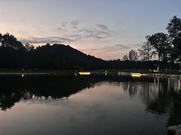 Bioparco.jpeg - {Bioparco.jpeg} - [3837]