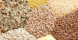Cereali.jpg - {Cereali.jpg} - [38387]